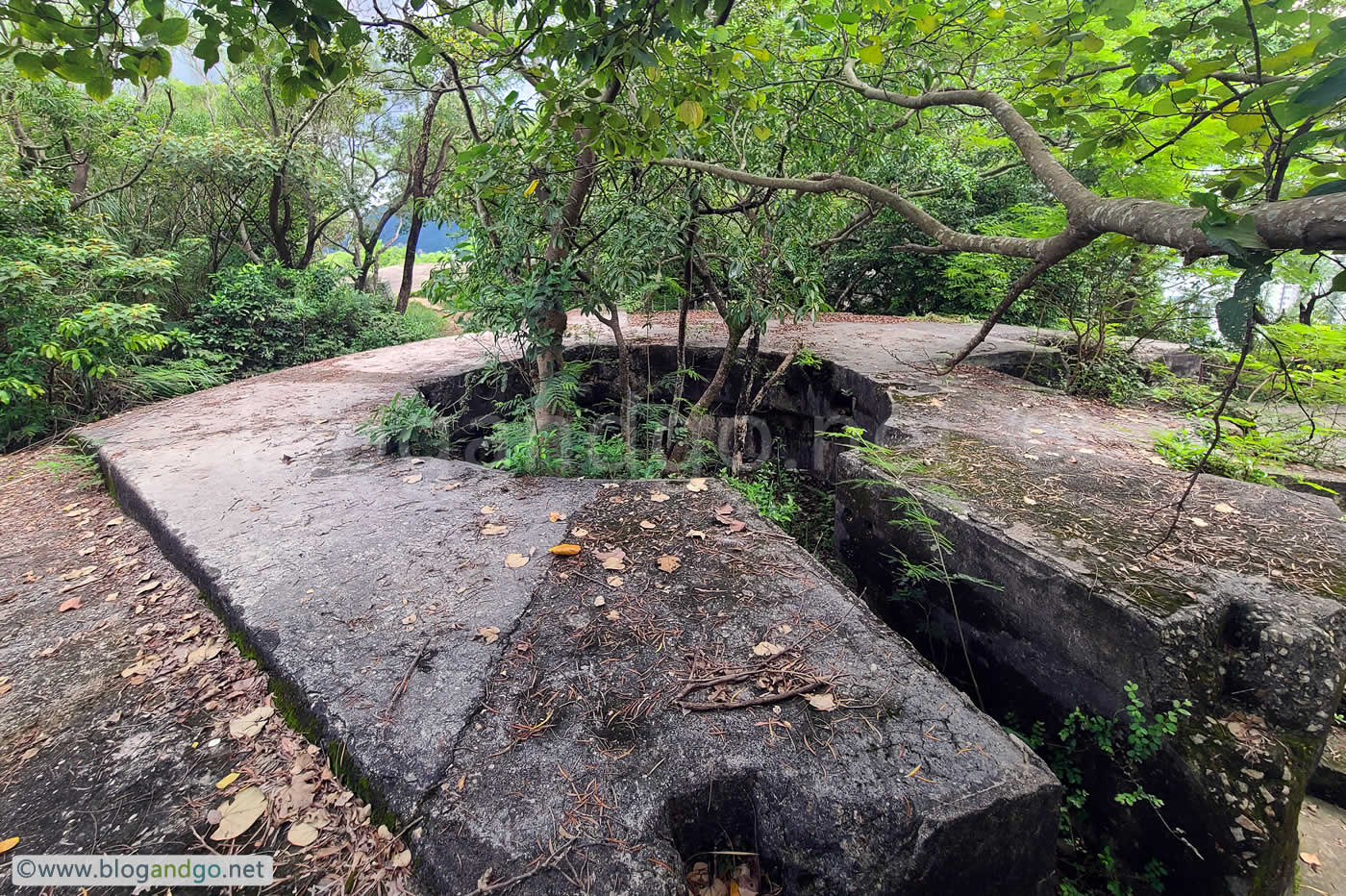 Devil's Peak - Gough Battery